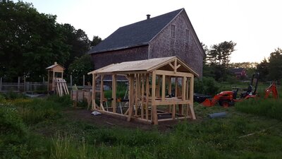 duckhouse floor and 1x siding.jpg