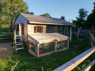 duckhouse annex.jpg