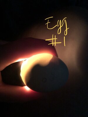 5D510B2F-4E4A-48DC-9D2D-551571305BE9.jpeg