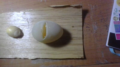 IMG_20200701_201905.jpg
