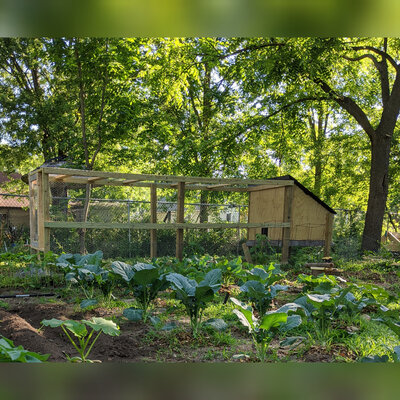 CollageMaker_20200701_221523498.jpg CollageMaker_20200701_221523498.jpg