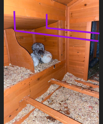 coop.jpg coop.jpg