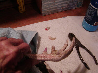 P1010005.JPG