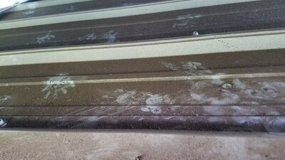 20191002_091214_resized.jpg