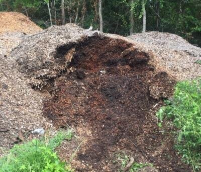 composted wood chip pile.jpg