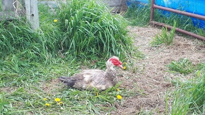 20200610_134246.jpg