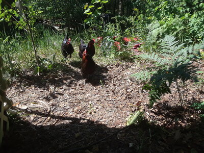 20200704_114158.jpg