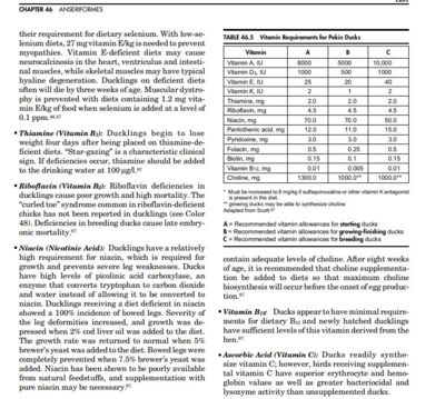 Niacin Deficiency in Waterfowl