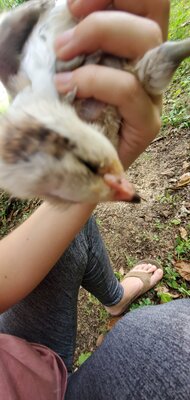 20200708_100229.jpg