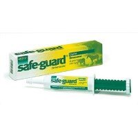 safeguard_paste (Custom).jpg