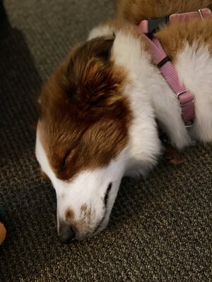 IMG_6414.jpeg