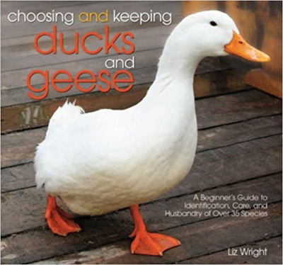 Choosing and Keeping Ducks and Geese: A Beginner's Guide to Identification, Care, and Husbandry of over 35 Species