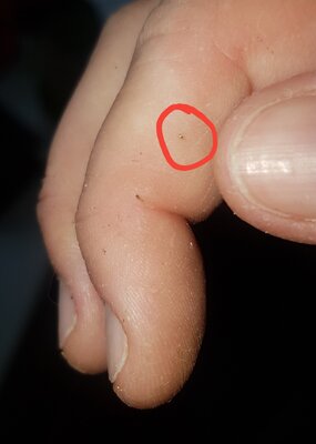 20200713_142252.jpg