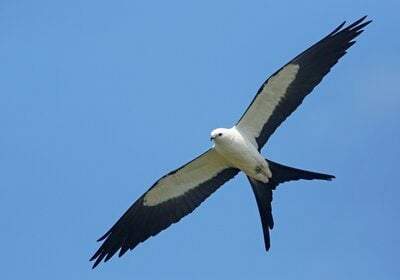 61675131.jpg 61675131.jpg