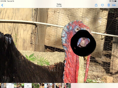 D85EA154-473E-42DC-9198-912A02A6A9DF.jpeg