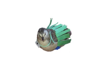 3f71c77c-e0a5-475e-a645-d39384d6dc44 (1).png