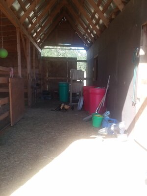 20200715_101030.jpg