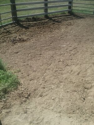 20200715_100349.jpg