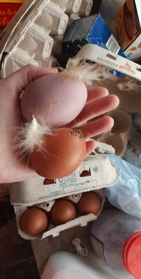 received_281584133096606.jpeg