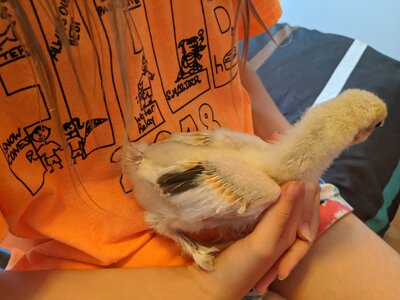 IMG_20200708_112657.jpg