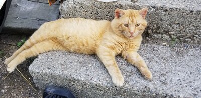 20180707_175253.jpg