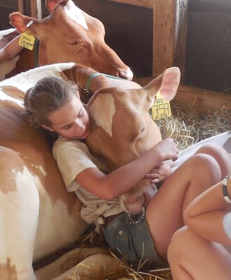 Cow Crop.JPG
