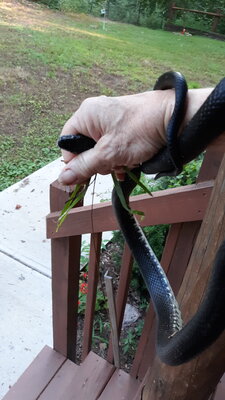 20200718_193157.jpg