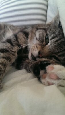 IMAG0458.jpg