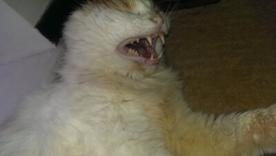 IMAG0213.jpg