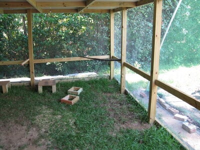 Coop & Run 017.jpg