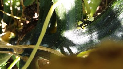 20200720_170940.jpg