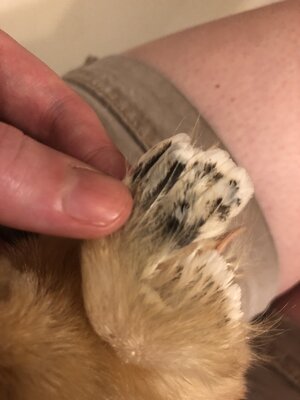 93AAC37E-183C-4806-95E3-16A014782C7D.jpeg