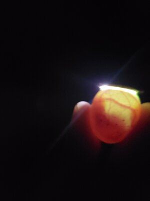 20200725_155207.jpg