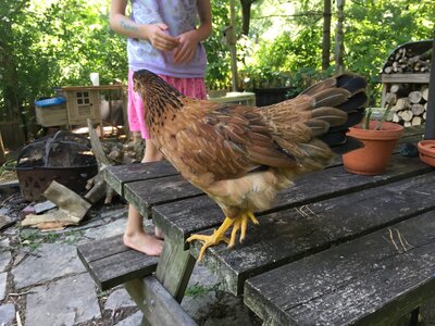 IMG_1853 2.JPG