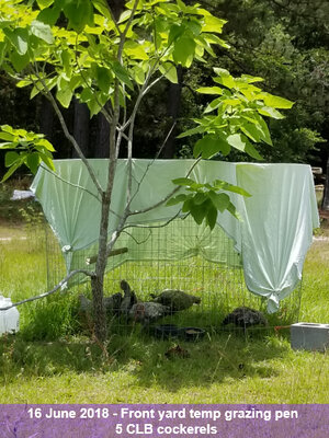 20180616_130518.jpg