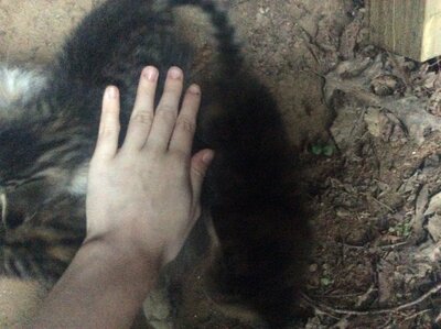 6BE55DEC-3A2D-4187-88D6-6235928F4EF2.jpeg