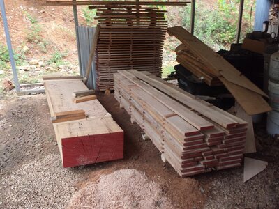 red-oak-02.jpg