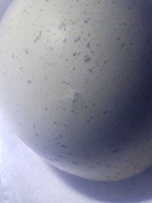 20200731_105015.jpg