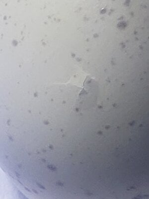 20200731_181721.jpg