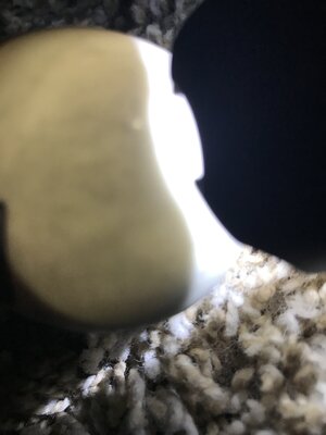F3AD8841-9EE0-410B-BB00-109E8CC42B8B.jpeg