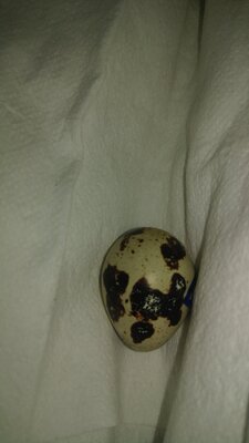 20200801_000027.jpg