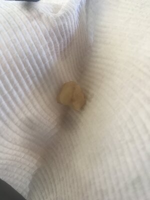 IMG_3823.jpeg
