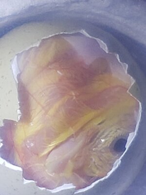 20200801_201327.jpg