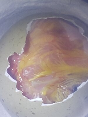 20200801_201414.jpg