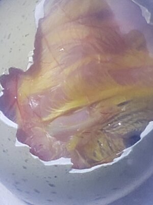 20200801_201352.jpg
