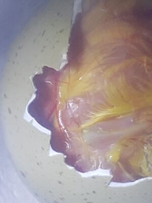 20200801_201406.jpg
