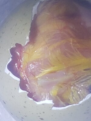 20200801_201409.jpg