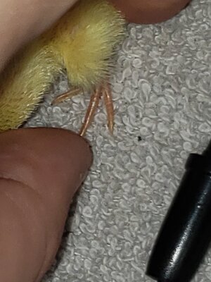 20200802_124205.jpg