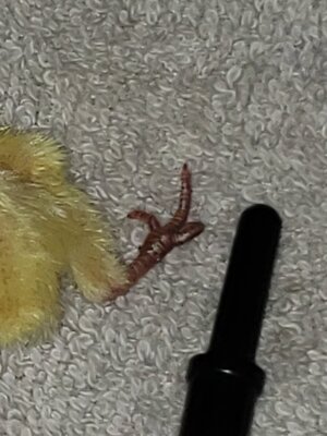 20200802_121842.jpg