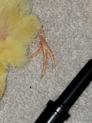 20200802_124326.jpg